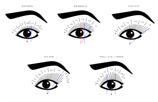 BlushedZA Lash Mapping